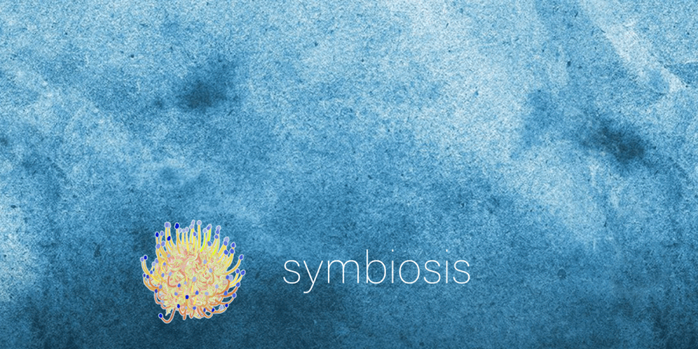 Assembling a Movement for Real Democracy in Every Community – launch statement from Symbiosis