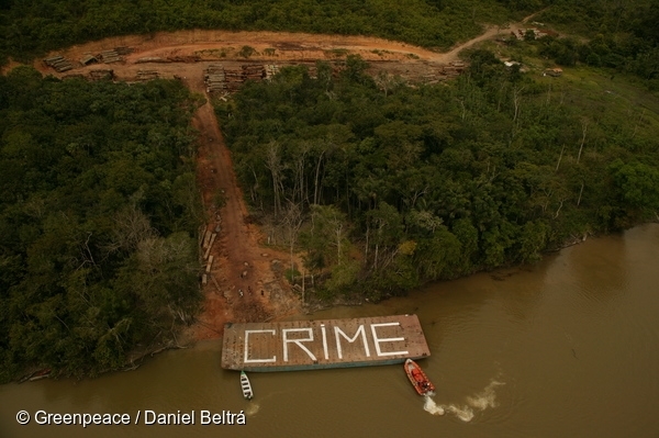 The Amazon fires are Bolsonaro’s political crimes and call  for urgent action