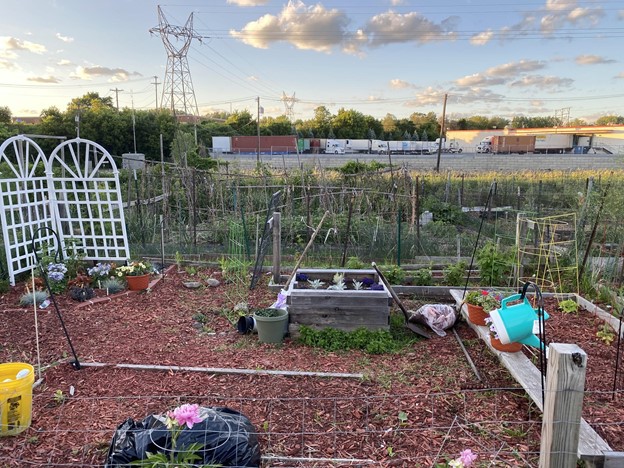 Community Gardens, Gentrification, and Placekeeping in Minneapolis