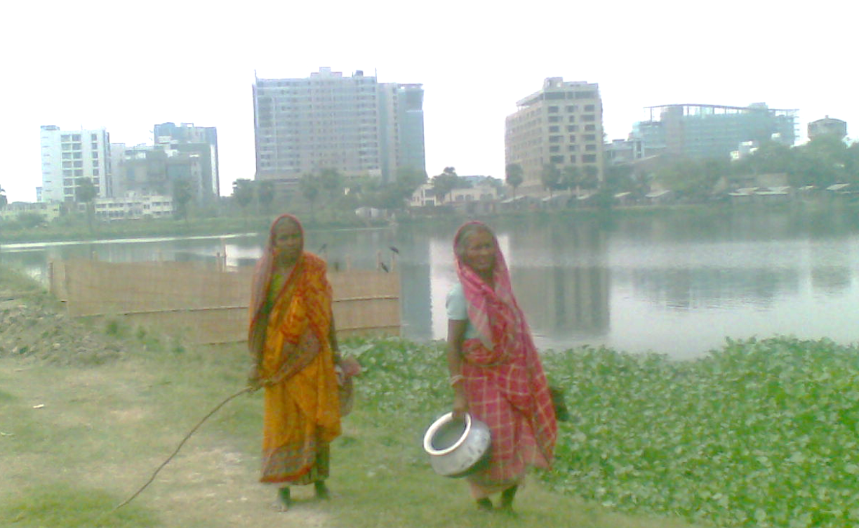 Not a “wasted” enterprise: political ecologies of wastewater wetlands in Kolkata