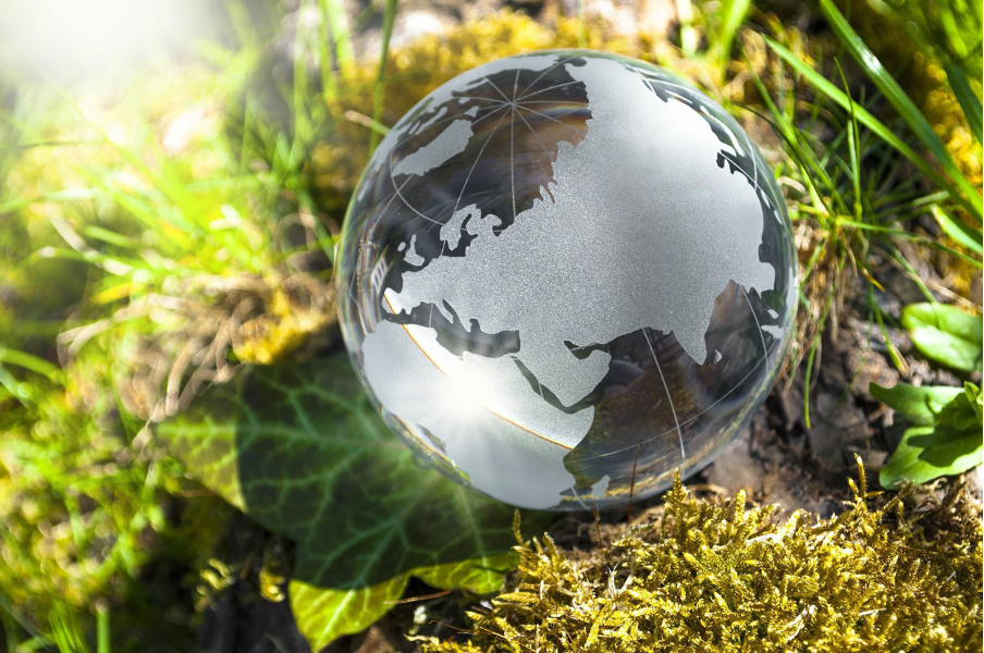 Environment and Sustainability in the globalised classroom