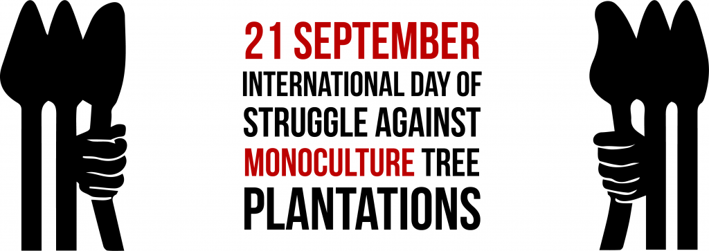 September 21st: International Day of Struggle Against Monoculture Tree Plantations