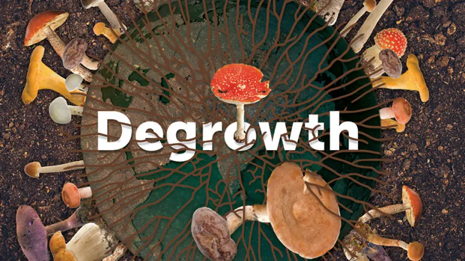 Degrowth and Feminist Political Ecology and Decoloniality: Reflections from the WEGO network
