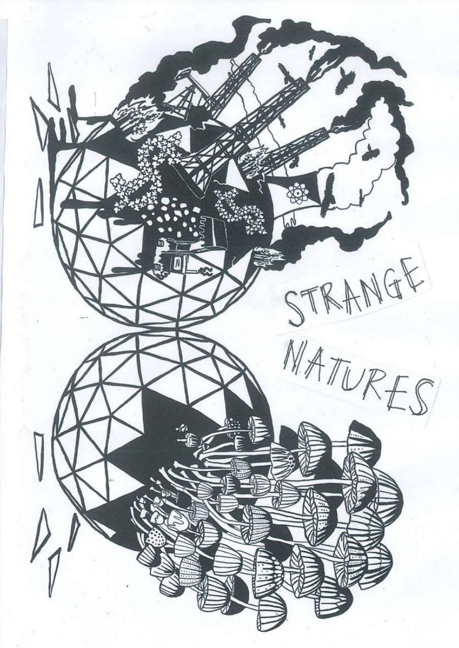 Zine: Strange Natures