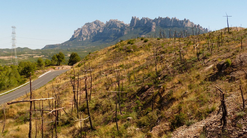 Dams, Forest Fires and the Hidden Commons – Part I: Social Control and the Ecological Crisis in Catalunya