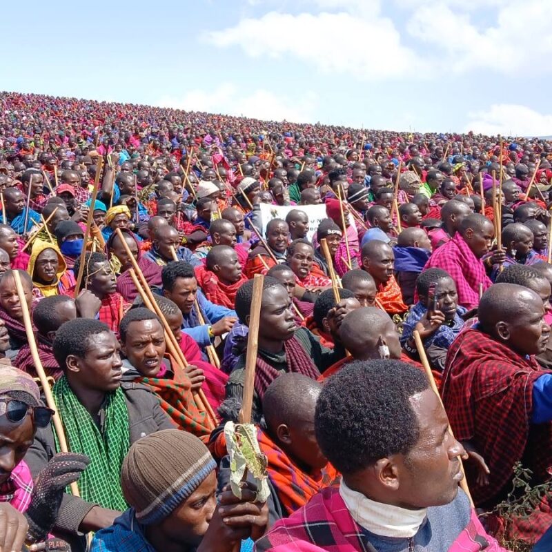 Photo of protest by Maasai in August 2024. A large crowd sits, extending to all ends of the photo.