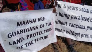 Close-up of signs at the protest by Maasai in August 2024, written: "Maasai are guardians of the land, protectors of the future" and "For 4 years social (...) is being paralyzed, c(...) without vaccines, (...) pre(...) women without prena(...)."