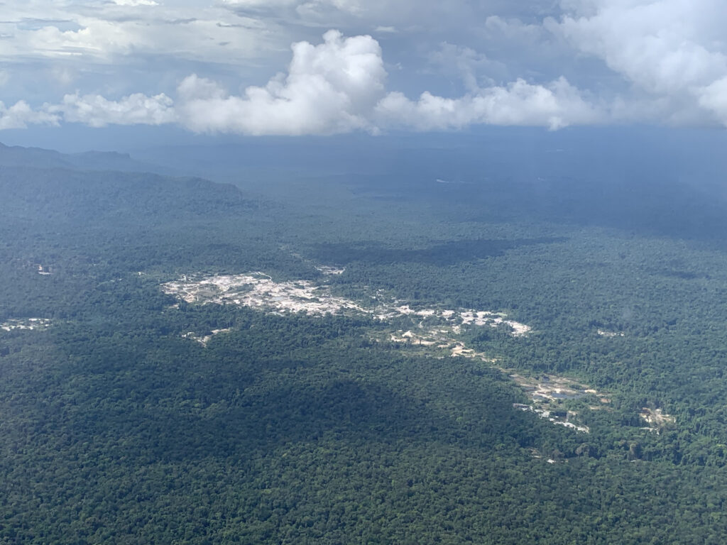 Gold mining reduces Amazon forest cover in Guyana