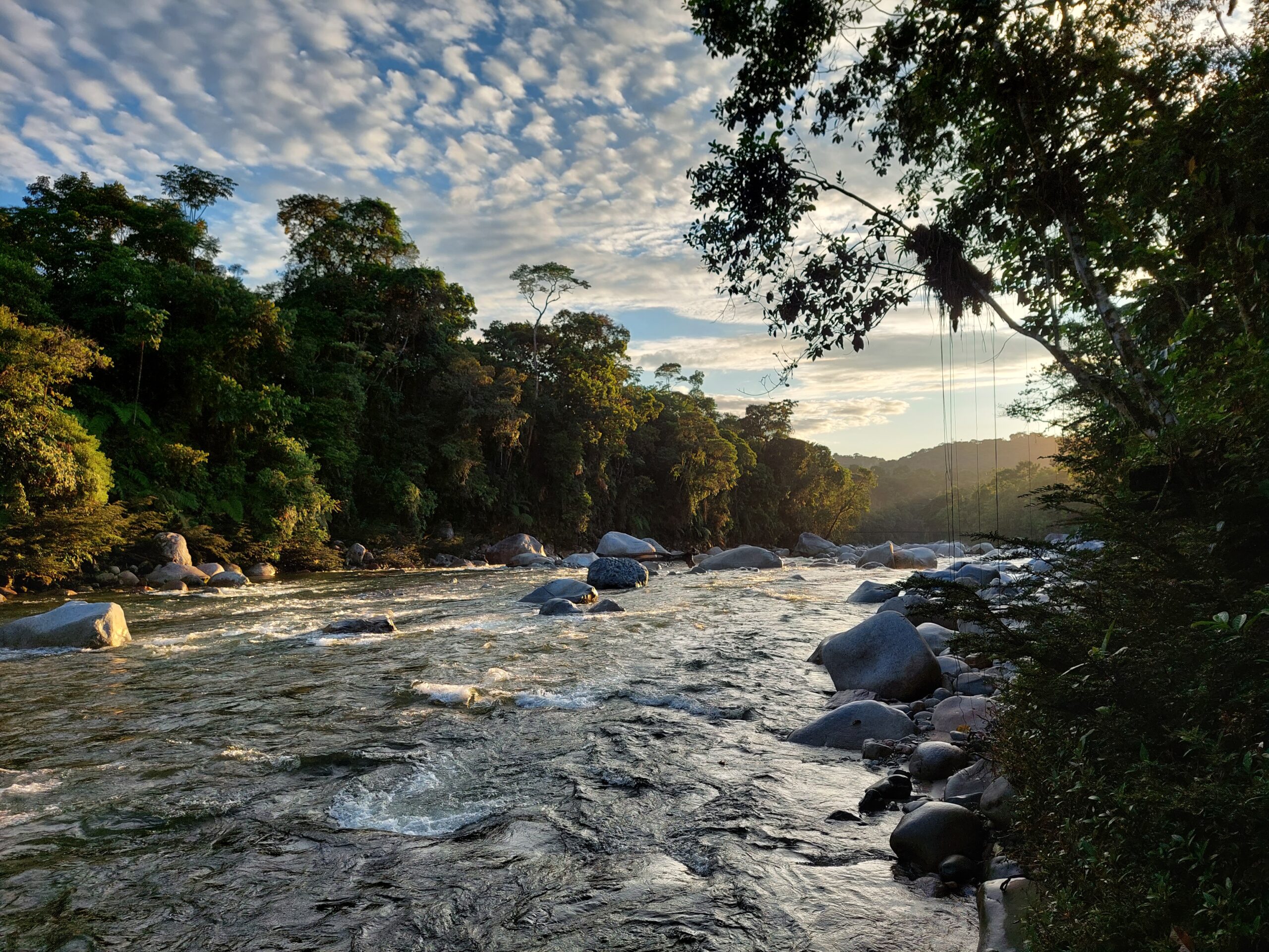 These rivers shall not be dammed! On behalf of a free-flowing river in the Ecuadorian Amazon