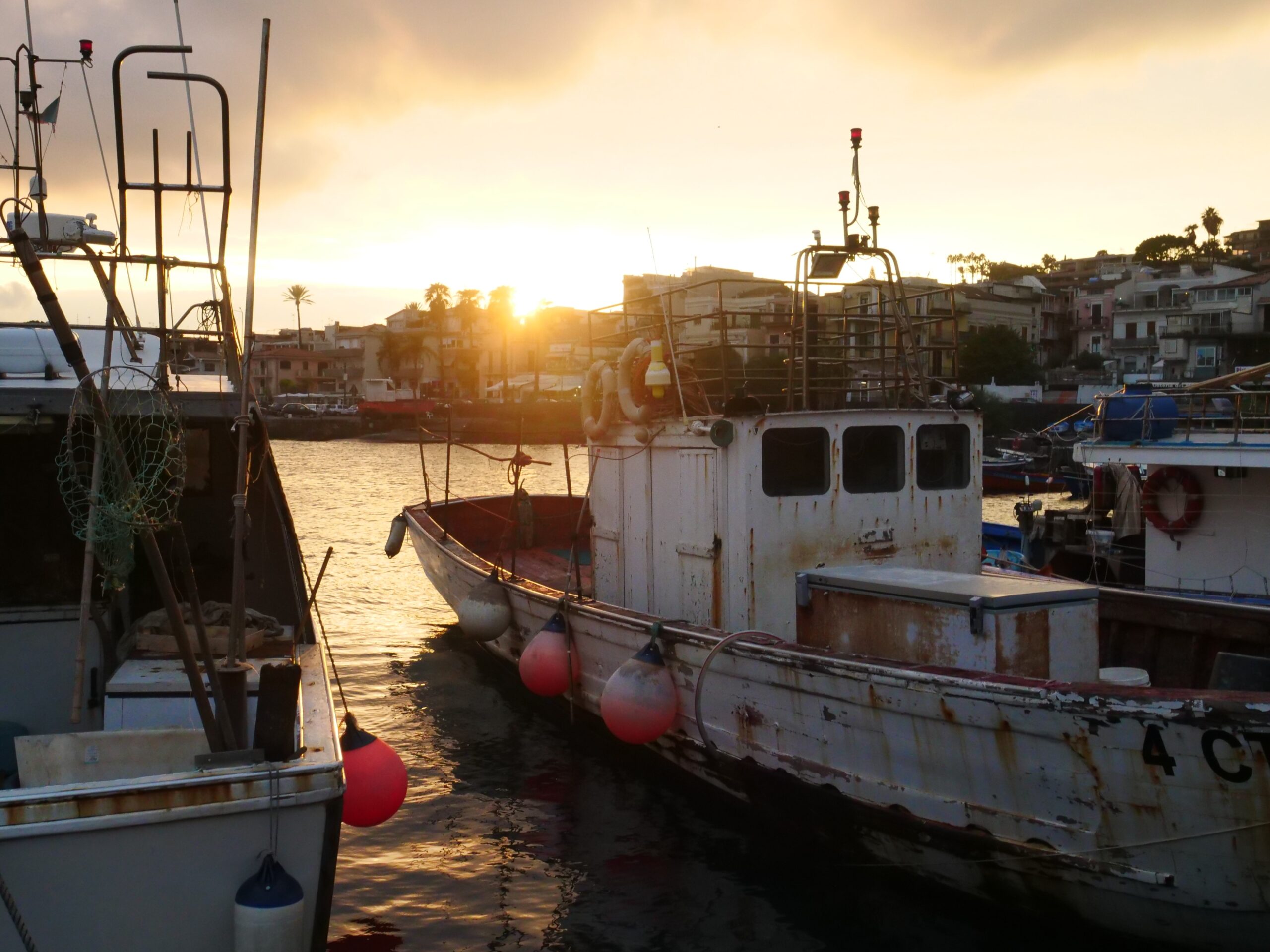 A Changing Sea: The Threat of the Fireworm for Sicilian Fisherfolks