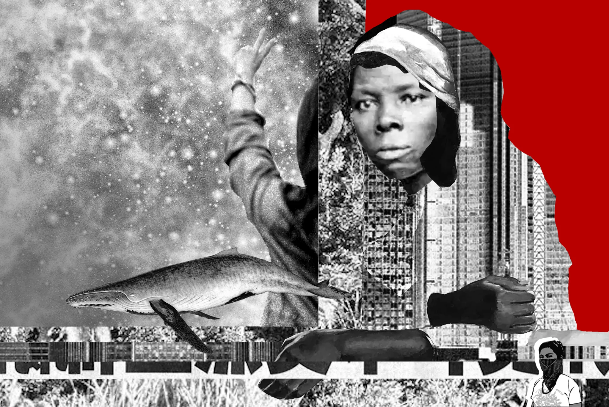 Pluriverse of Peace: Connecting Anti-War and Climate Struggles